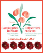 Communities in Bloom Logo 2007