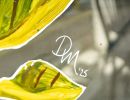 dsc05380
