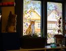 dsc05407
