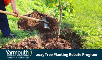 2025 Tree Planting Rebate Program