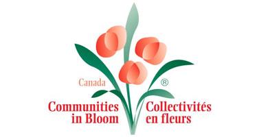 Yarmouth is in Bloom: Get Ready For the Judges!
